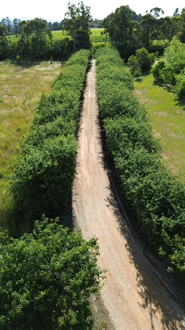 Aerial view of a gravel access track between hedgerows